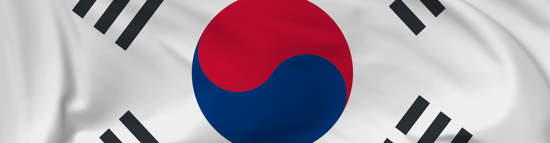 South Korea Banner